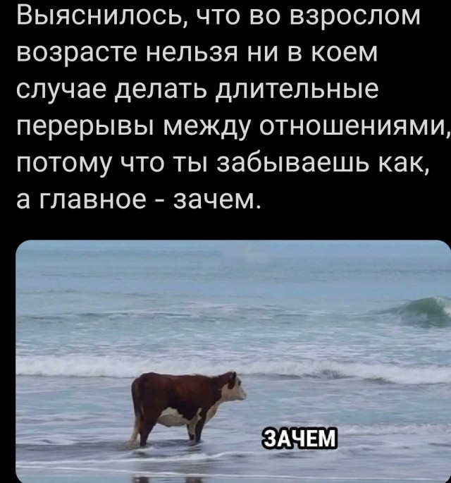 60 картинок