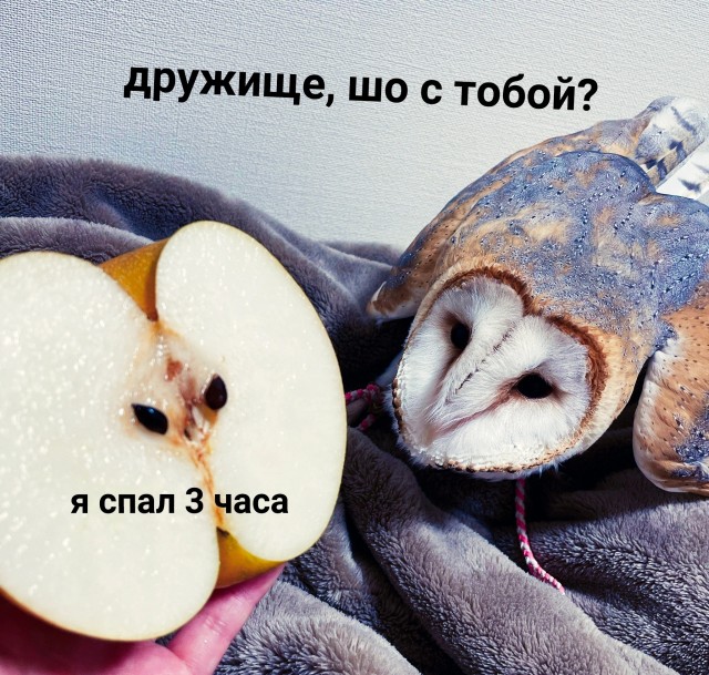 Так себе картинки 30.10.22