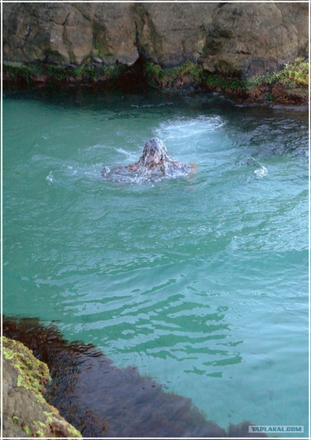 Крым. Фиолент. Маяк.