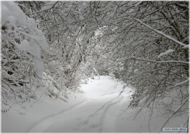 Крым. Терновка. Зимние дороги.