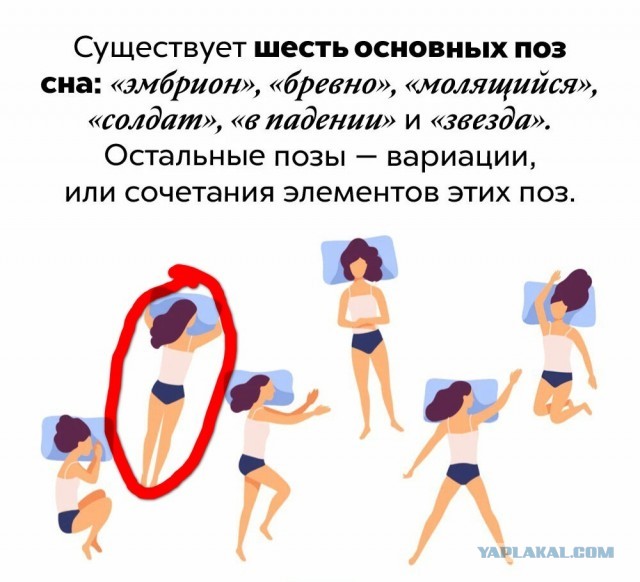 Факты. Просто факты 3