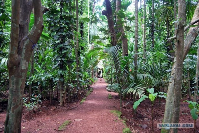 ГоА свои впечатления