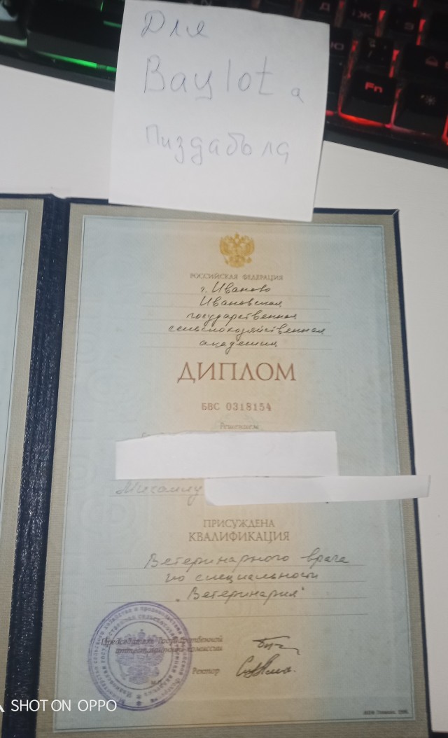В Выборге лис преодолел страх и недоверчивость и попросил кусочек хлеба у человека