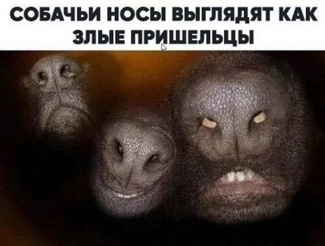 Картинки и мемы для настроения - 131