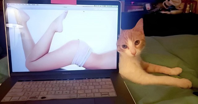Картинок разной степени @банутости псто.