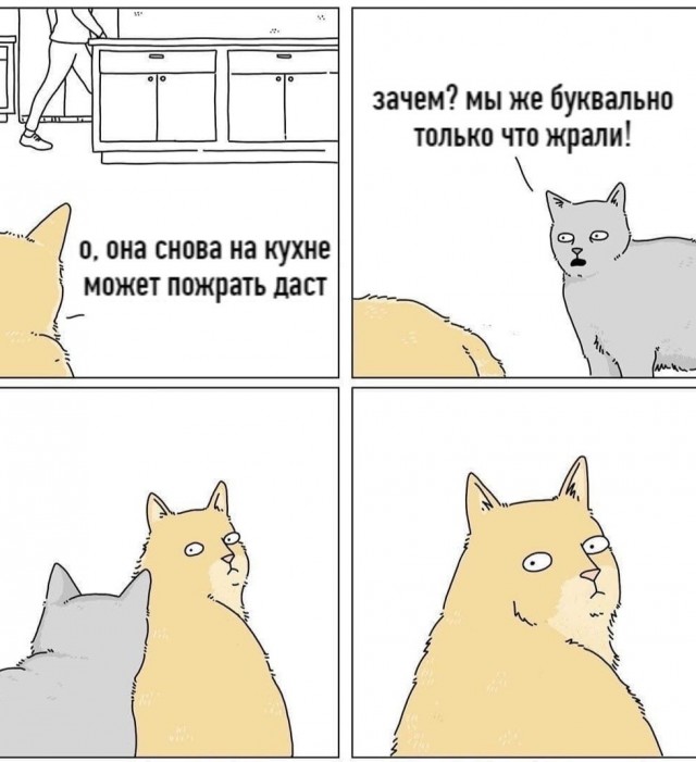 В тяжёлый понедельник хочется немного деградации