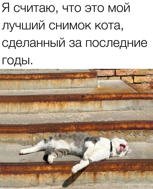 Всего понемногу. От 12.08