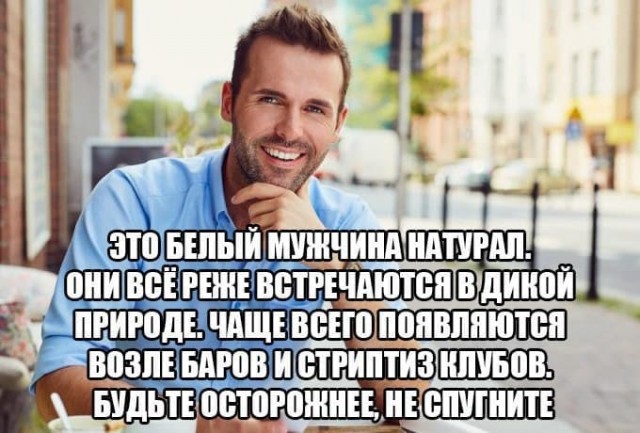 Гендеры