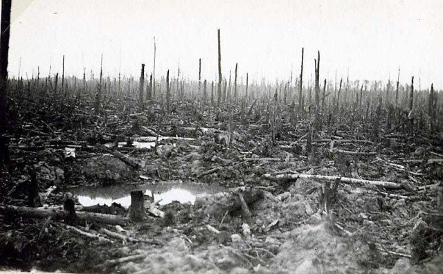 Из дневника сержанта 1067-го стрелкового полка