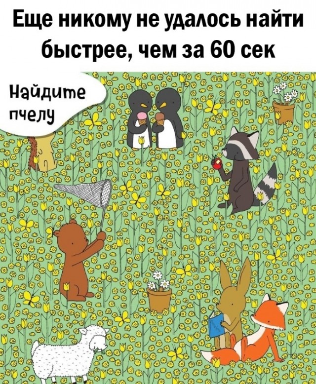 Так себе картинки 28.10.23