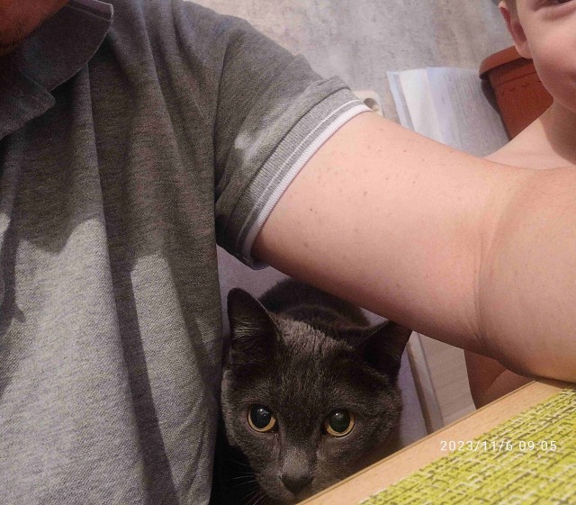 Мася