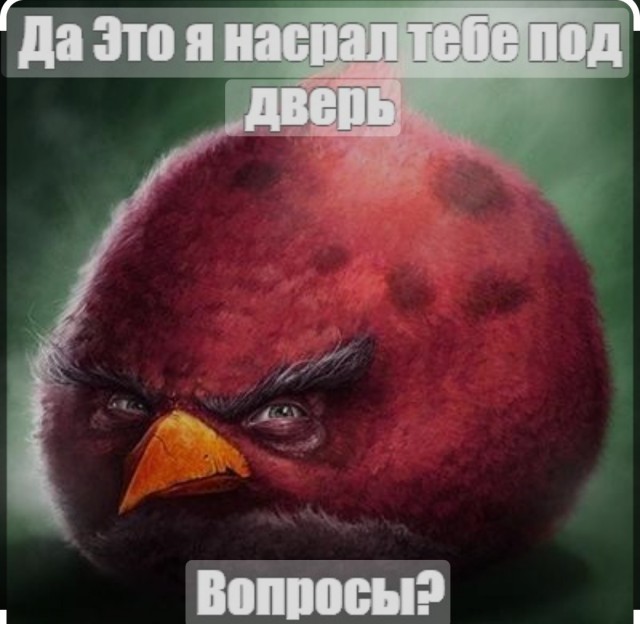 Вредные советы: как довести до белого каления соседей по даче