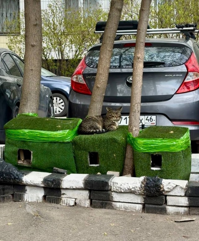 В Свиблово оборудовали домики для котиков