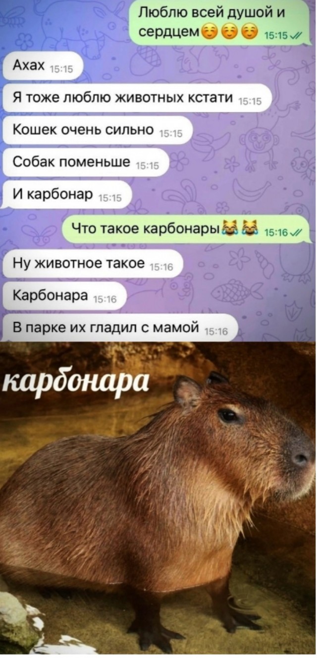 Так себе картинки 15.05.24