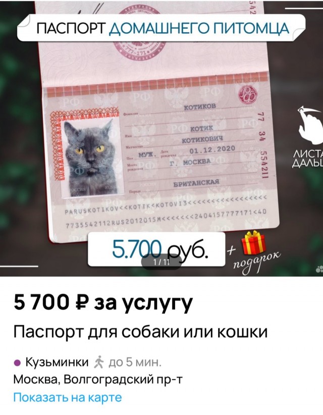 Так себе картинки 01.06.24