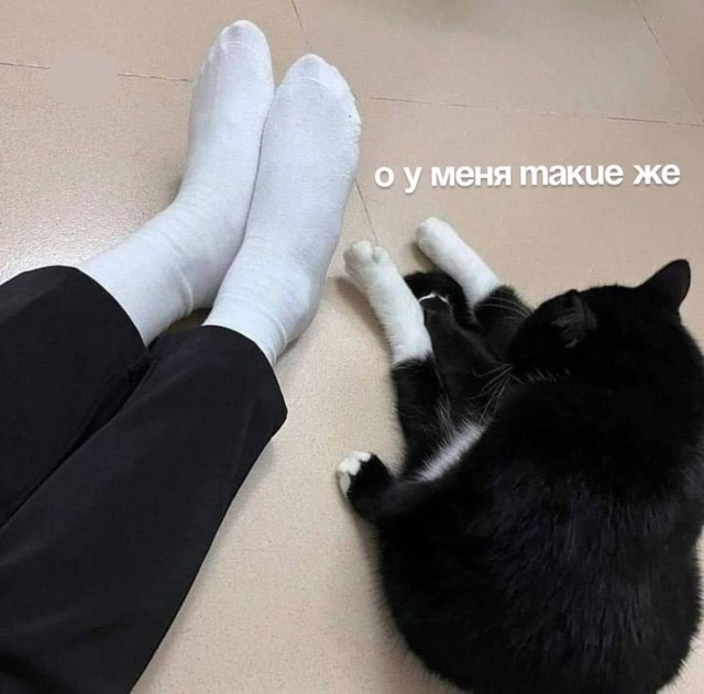 Завалялось тут случайно немного забавных картинок