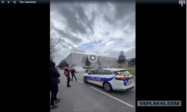 Как тараканов
