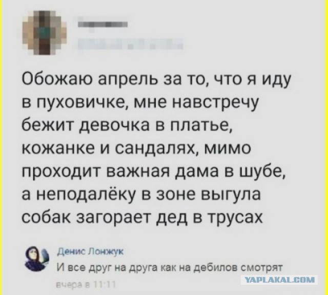 Сборник Баянов