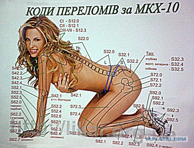 Тайский массаж. Основы.