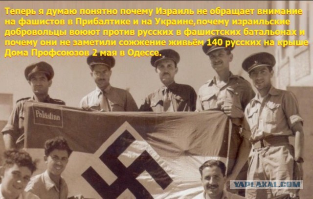 Никаких нелегальных протестов в Америке больше не будет