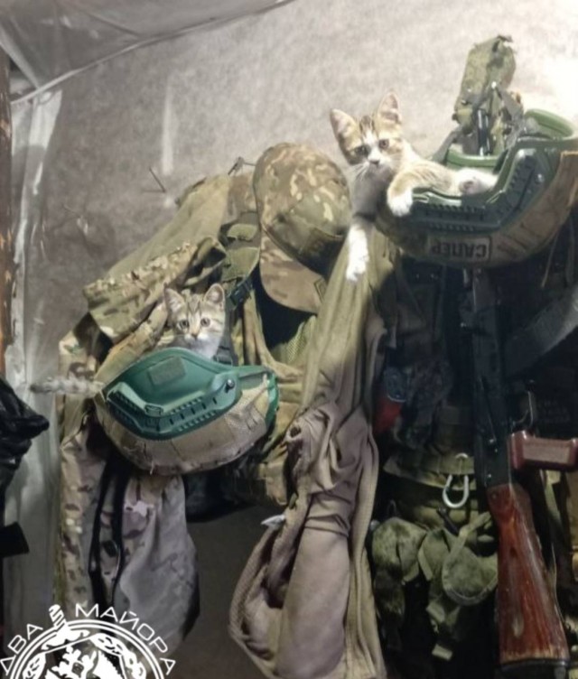 Три танкиста и кот