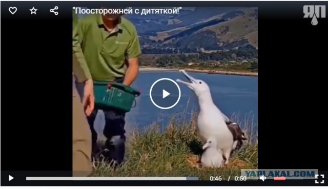 "Поосторожней с дитяткой!"
