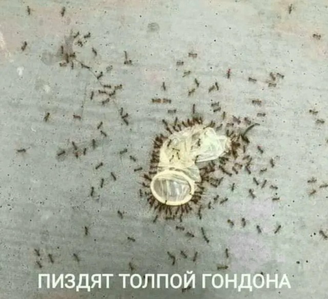Завалялось тут случайно немного забавных картинок