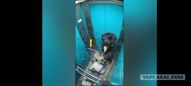 В Госдуме предложили провести в России «демографическую спецоперацию» по повышению рождаемости