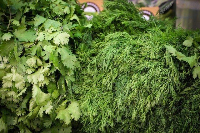 Хроники ЯПа или Приключения ТС. ДР (18+)