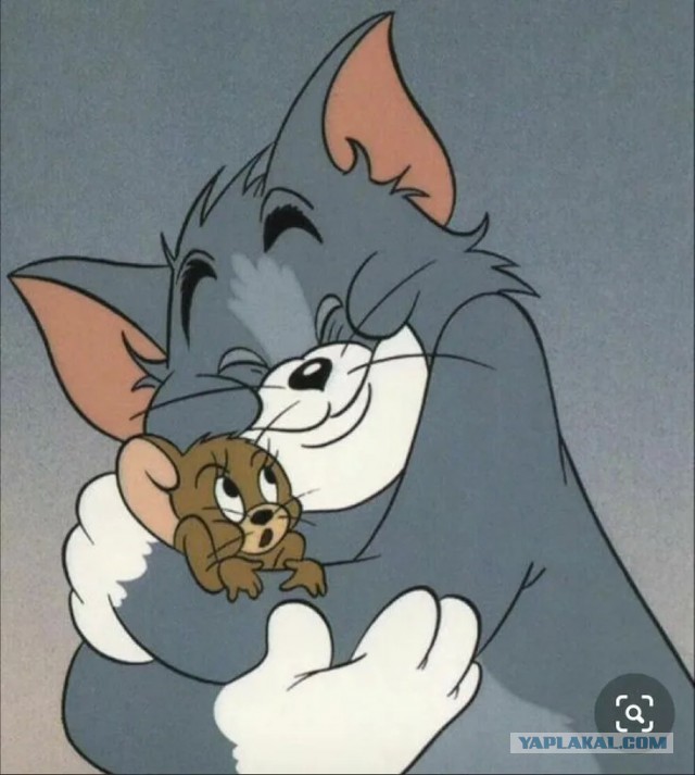 Мистер Мышь, вы пойманы
