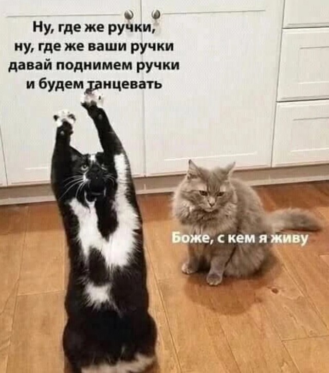 Завалялось тут случайно немного забавных картинок