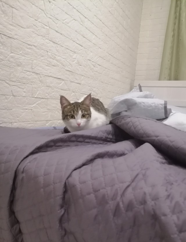 Пополнение в рядах кожаных рабов