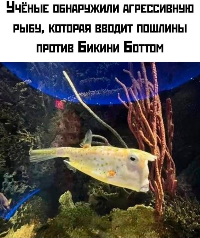 Деградация