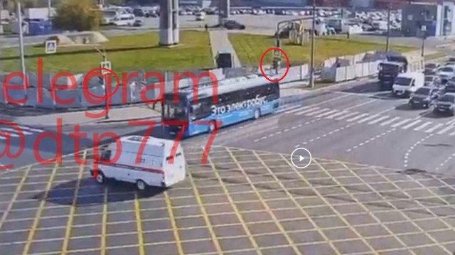Клетки, клетки....