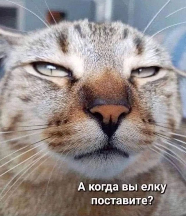Смешнявых и не очень картинков пост