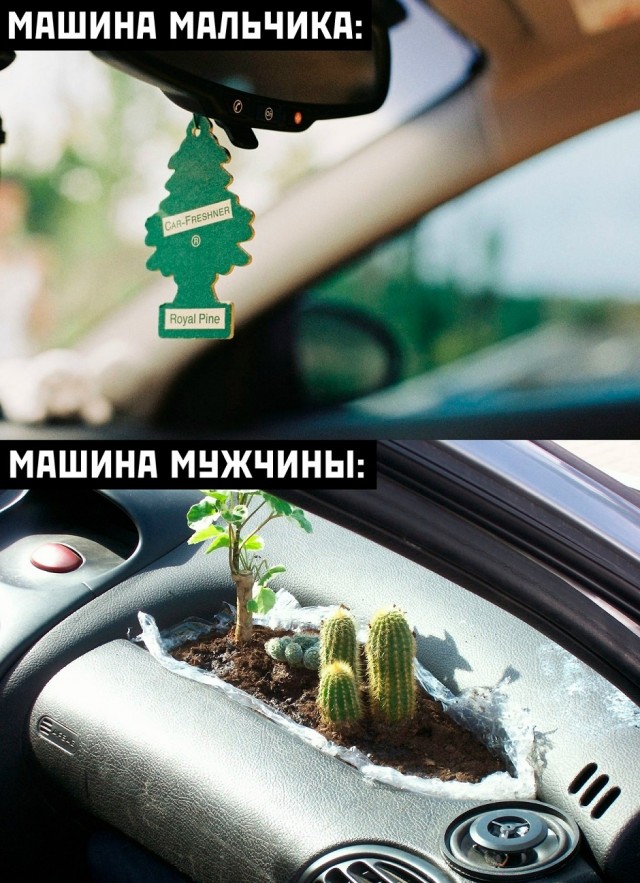 Так себе картинки 13.10.25