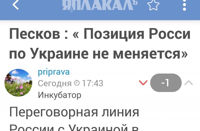 Песков : « Позиция России по Украине не меняется»