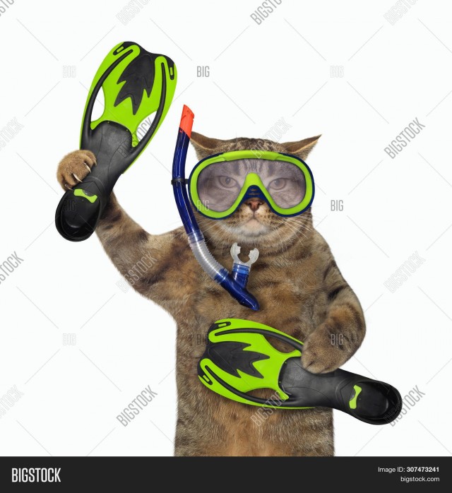 Плавать она не умеет. Бери пример с меня.