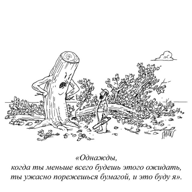 Так себе картинки 27.12.25