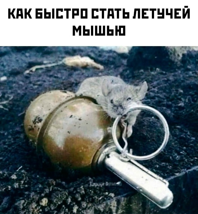 Картинки для деградации 126 (разной степени свежести)