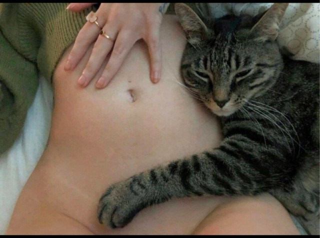 Блаженный кот