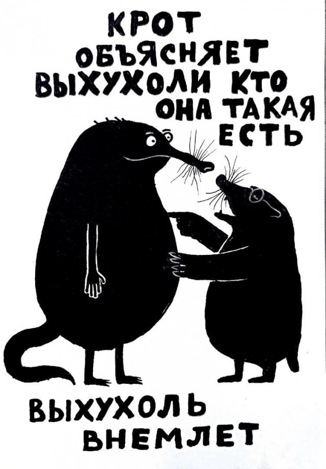 Муха и её бесславный конец