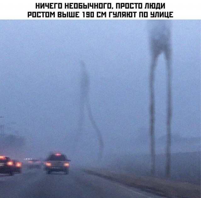Все девушки хотят высокого парня