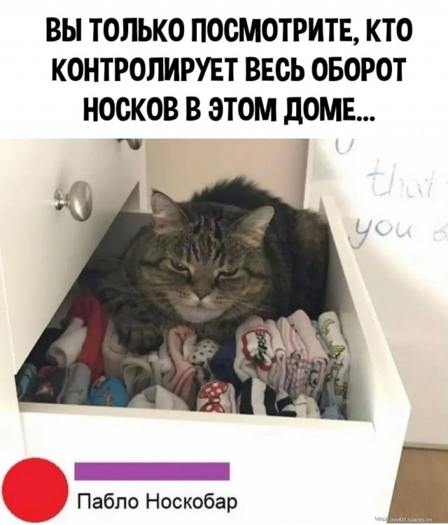 Среды картинки