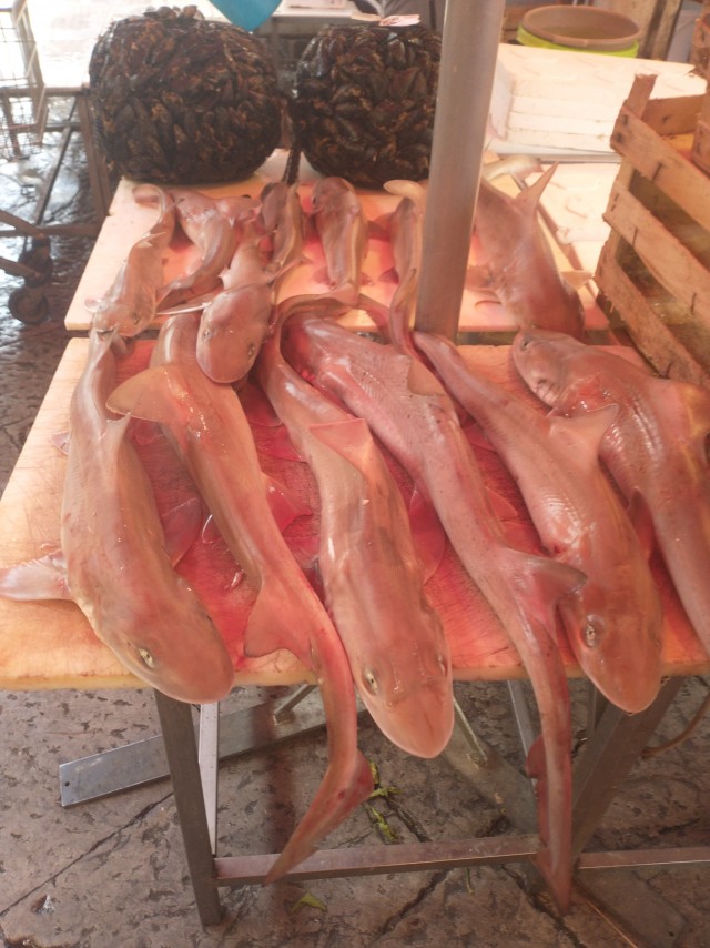 А почему женщин раздражает "являющийся на диване" муж?