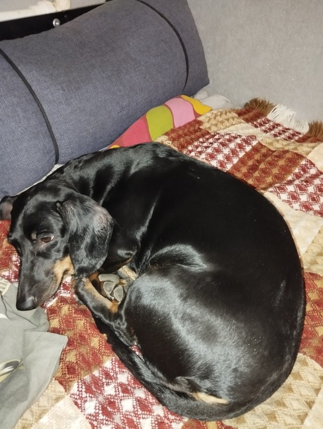 Устала