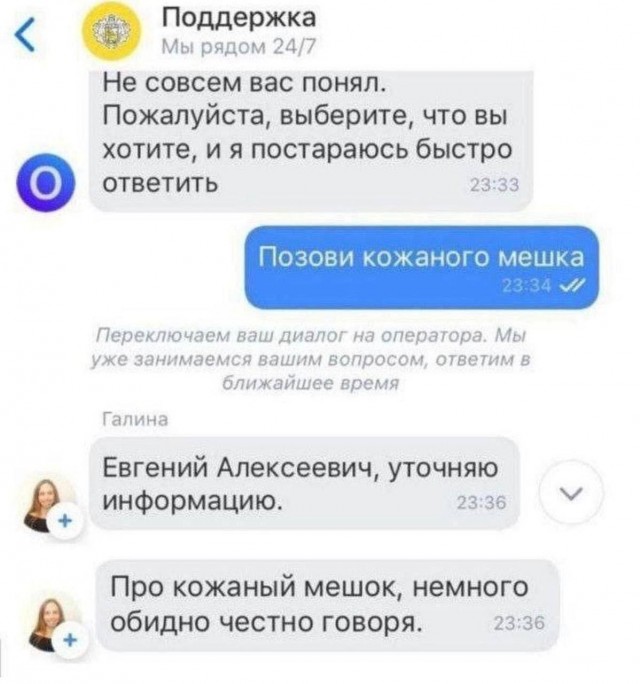Потная гамсахурдия №6 (Картинки)