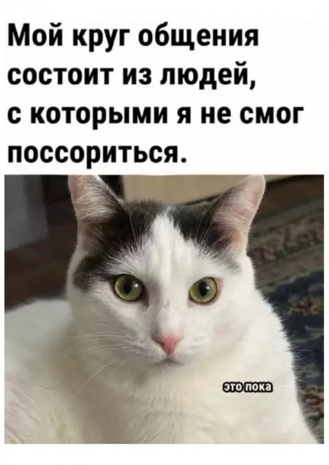 мемчики