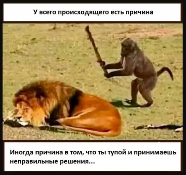 Картинки для деградации 269 (разной степени свежести)