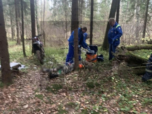 Питбайкер погиб из-за упавшего сухого дерева в лесу под Чеховом